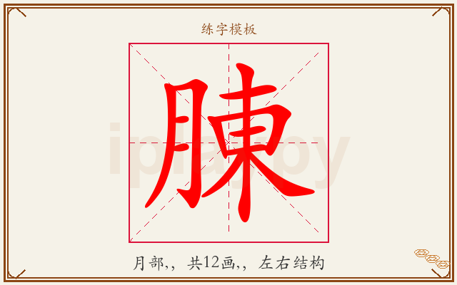腖字图文介绍