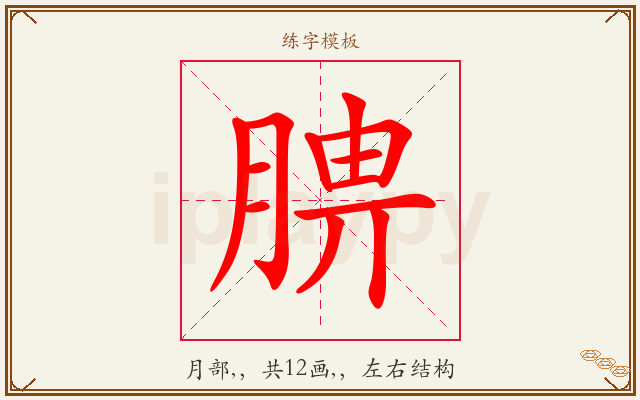 腗字图文介绍