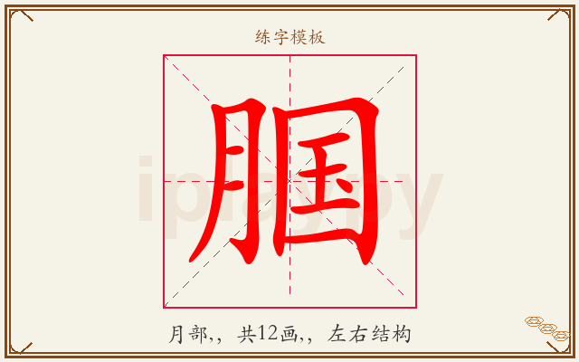 腘字图文介绍