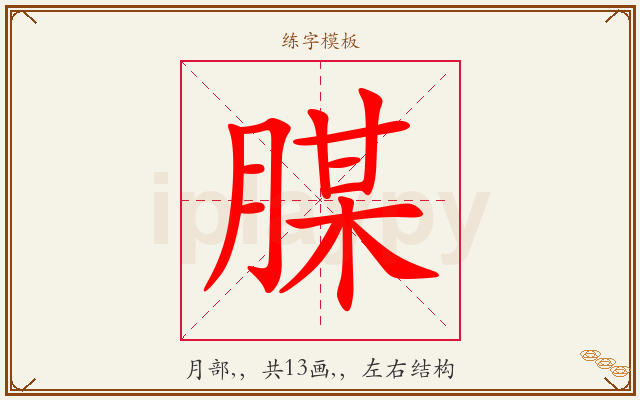 腜字图文介绍