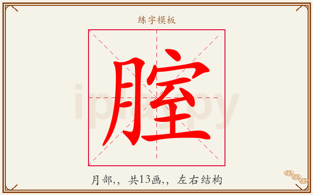 腟字图文介绍