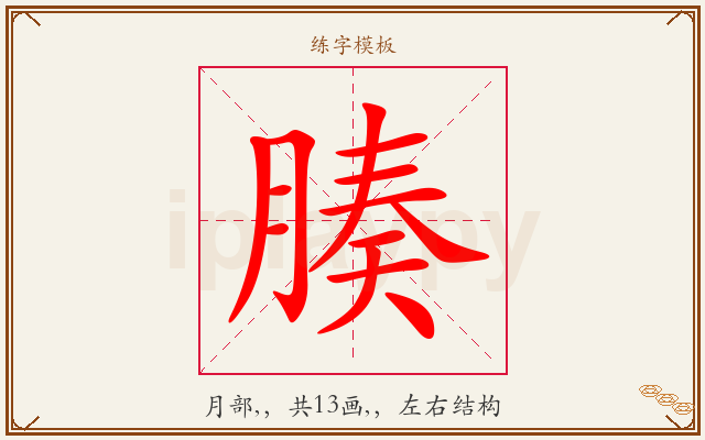 腠字图文介绍