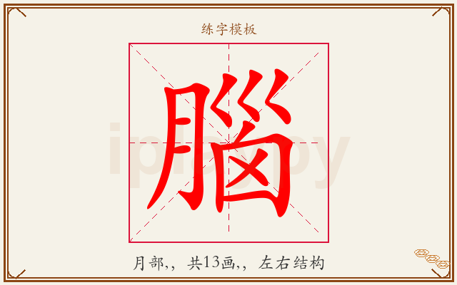腦字图文介绍