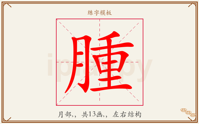 腫字图文介绍