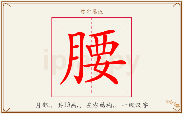 腰字图文介绍