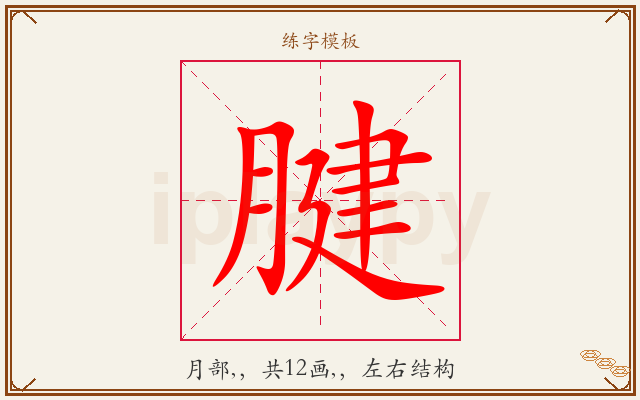 腱字图文介绍