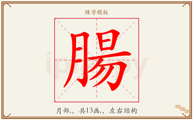 腸字图文介绍