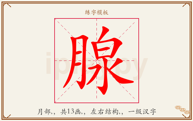腺字图文介绍