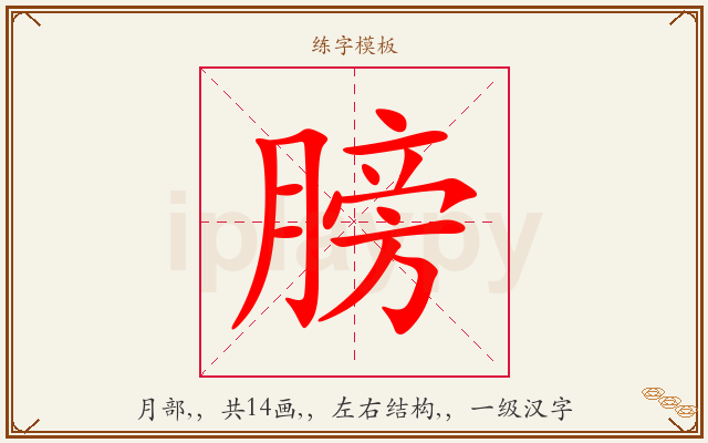 膀字图文介绍