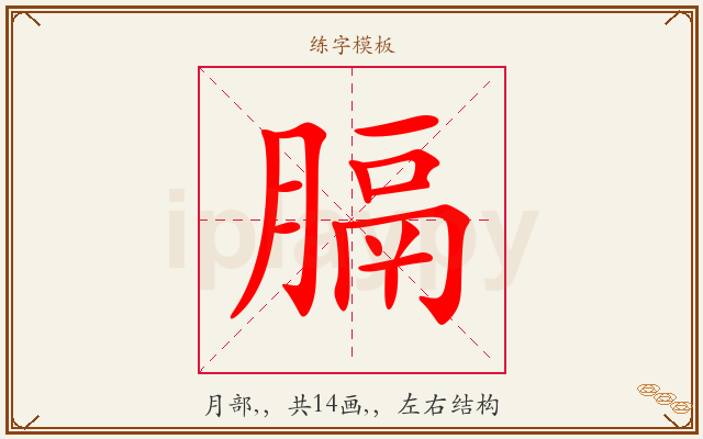膈字图文介绍