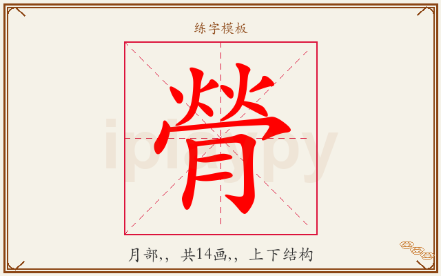 膋字图文介绍