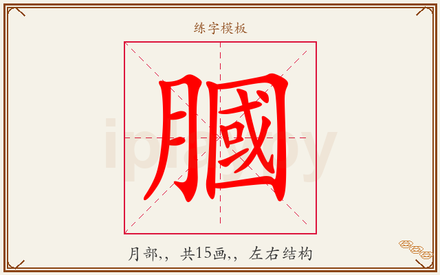 膕字图文介绍