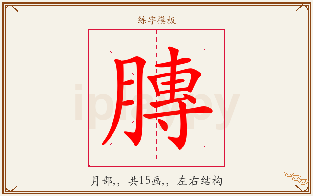膞字图文介绍