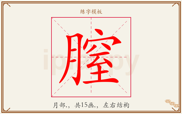 膣字图文介绍