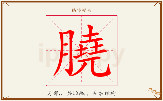 膮字图文介绍