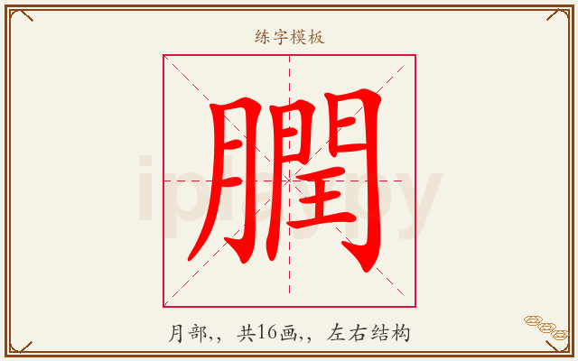 膶字图文介绍