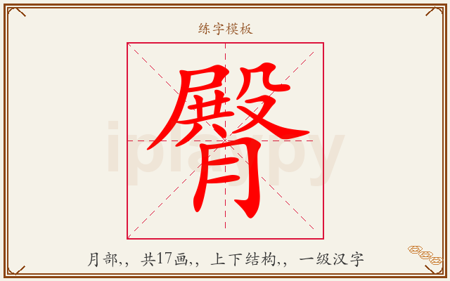 臀字图文介绍