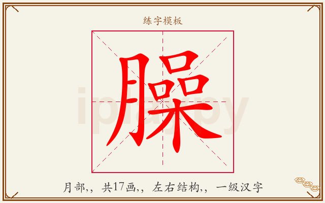 臊字图文介绍