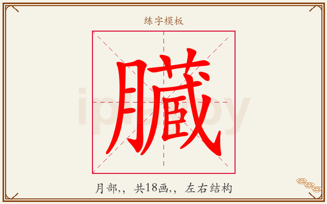 臓字图文介绍