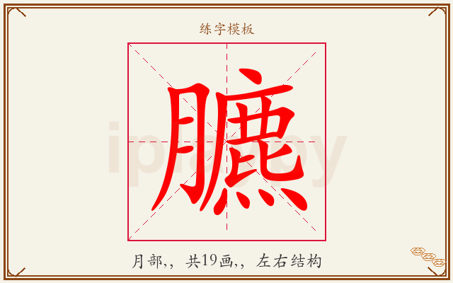 臕字图文介绍