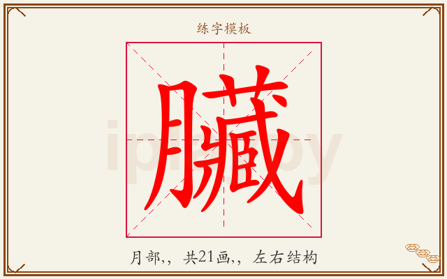 臟字图文介绍