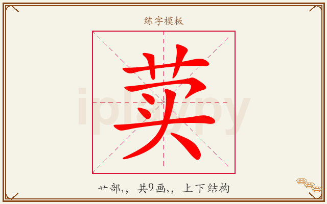 荬字图文介绍