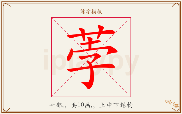 荸字图文介绍