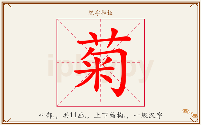 菊字图文介绍