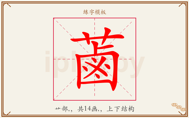 蓾字图文介绍