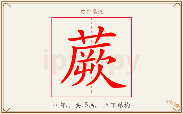 蕨字图文介绍
