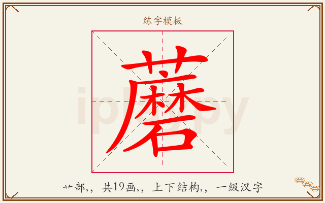 蘑字图文介绍