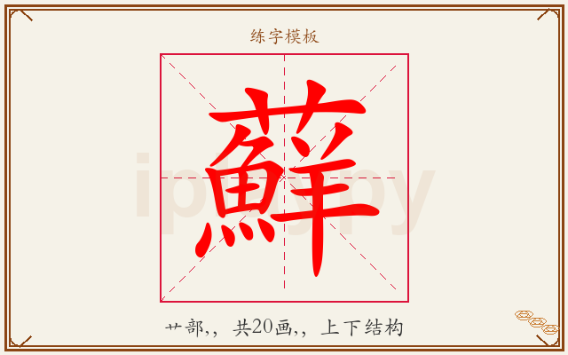 蘚字图文介绍
