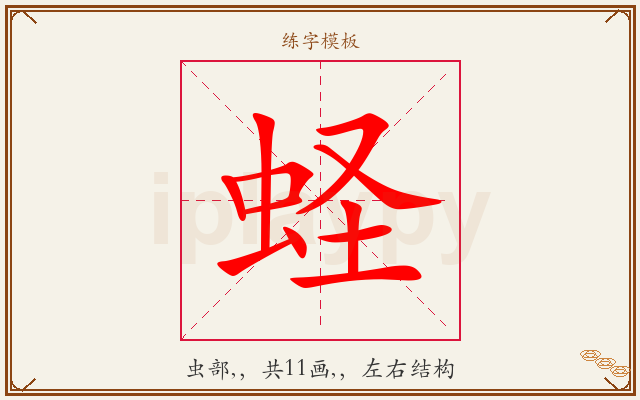 蛏字图文介绍