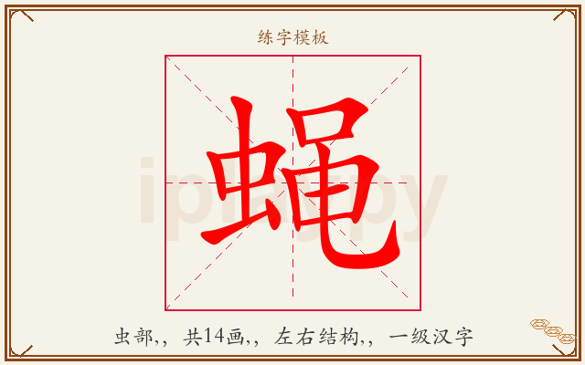 蝇字图文介绍