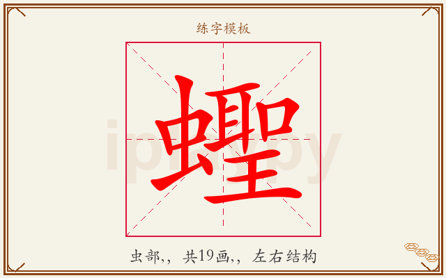 蟶字图文介绍