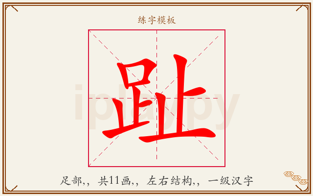 趾字图文介绍