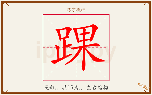 踝字图文介绍