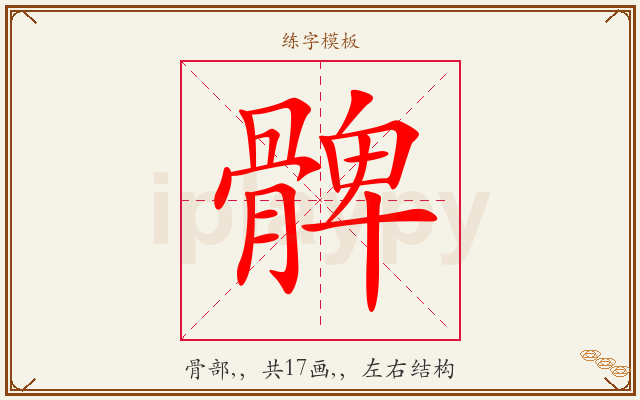髀字图文介绍