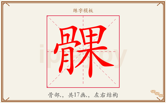 髁字图文介绍