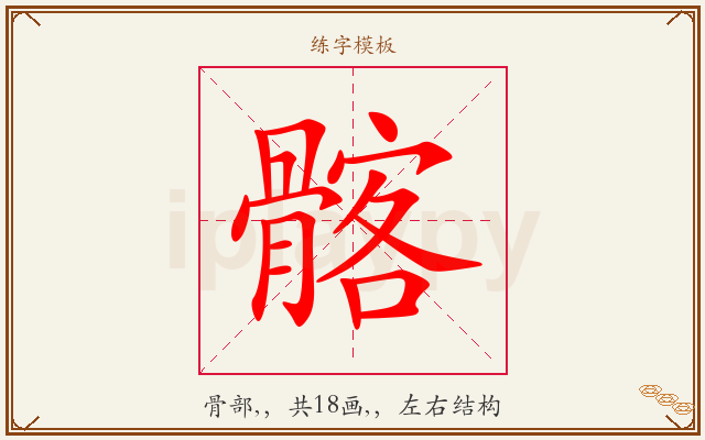 髂字图文介绍