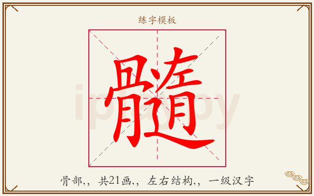 髓字图文介绍