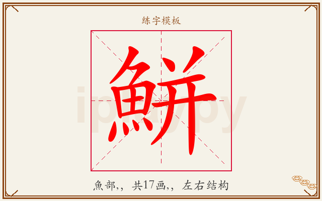 鮩字图文介绍