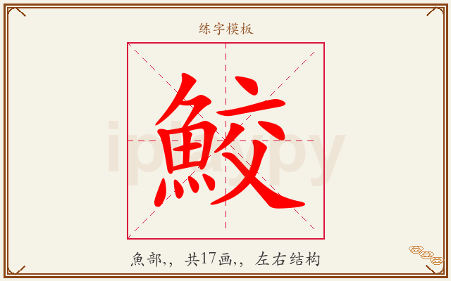 鮫字图文介绍
