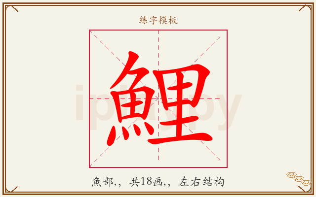 鯉字图文介绍