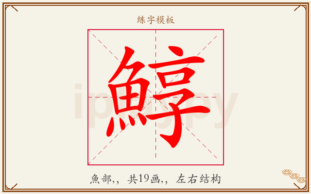 鯙字图文介绍