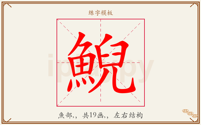 鯢字图文介绍