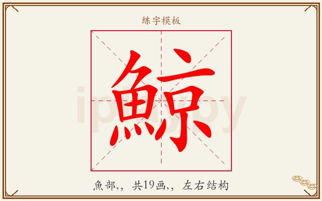 鯨字图文介绍