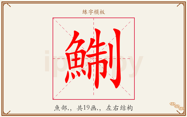 鯯字图文介绍