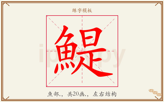鯷字图文介绍