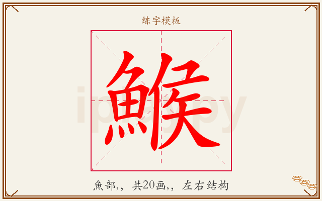 鯸字图文介绍